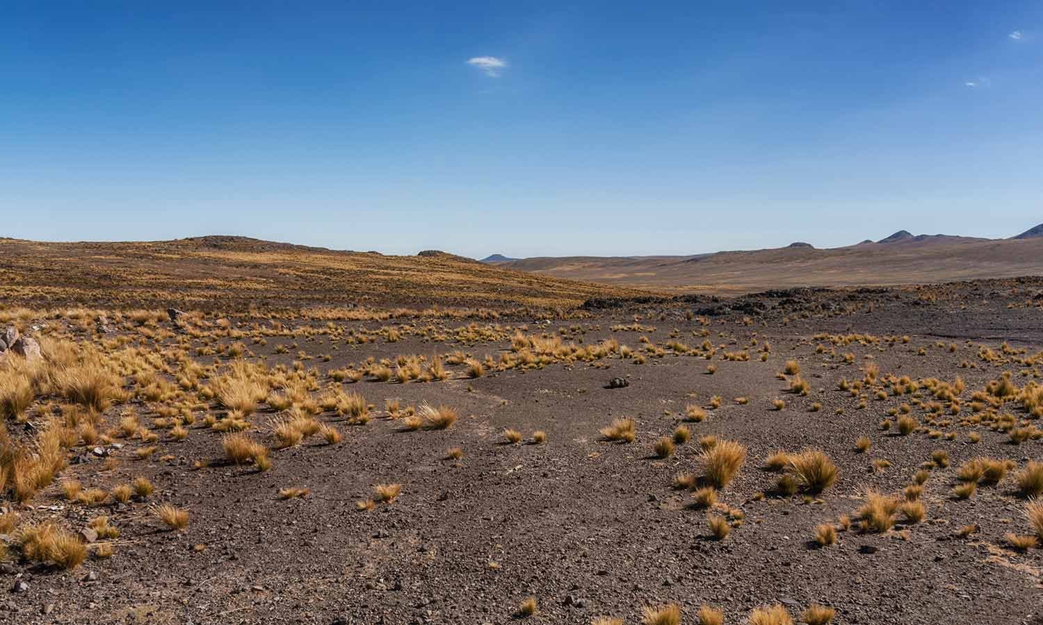 Reserva Nacional Pampa Galeras