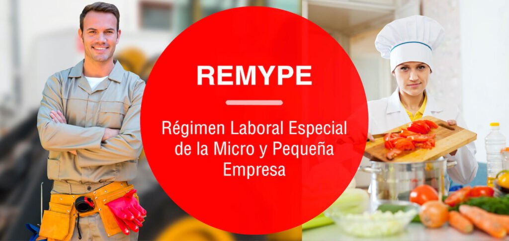 Que es REMYPE